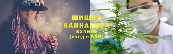 Альфа ПВП Осинники