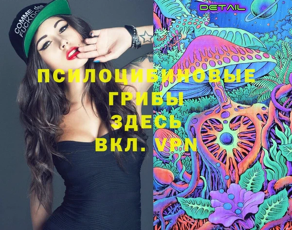 трава Весьегонск